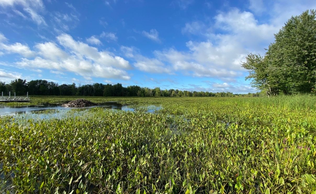 parc national de plaisance